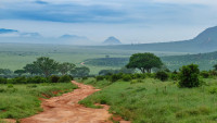 Tsavo West National Park - Mzima Springs
